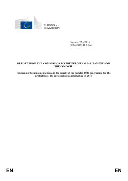 EN EN REPORT FROM THE COMMISSION TO THE EUROPEAN