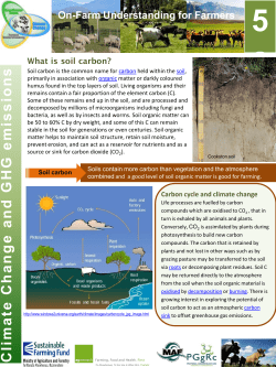 Soil Carbon