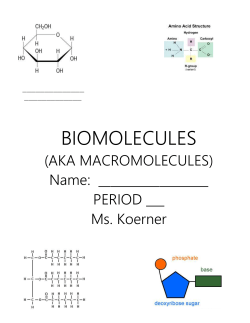 Carbohydrates Lipids