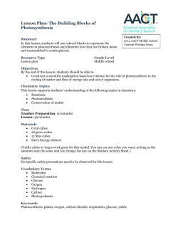 The Building Blocks of Photosynthesis