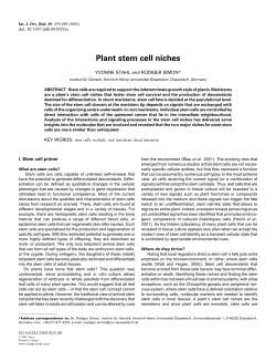 Plant stem cell niches