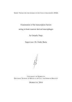Examination of the transcription factors acting in bone marrow