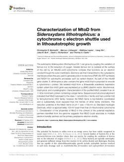 Characterization of MtoD from Sideroxydans lithotrophicus