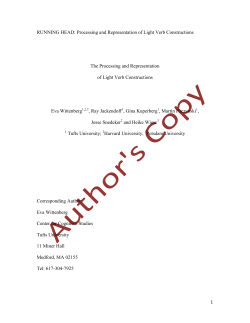 Processing and Representation of Light Verb