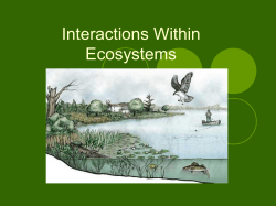 Interactions Within Ecosystems