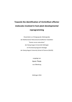 Towards the identification of Verticillium effector molecules involved