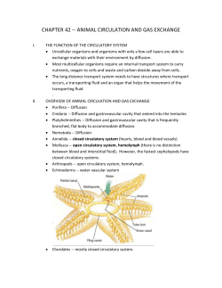 CHAPTER 42 -- ANIMAL CIRCULATION AND GAS EXCHANGE