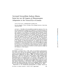 Increased Intracellular Sodium Mimics Some but not All Aspects of