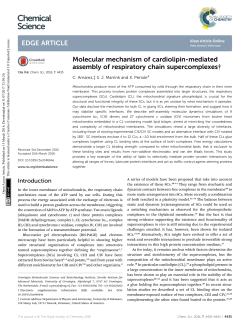 Molecular mechanism of cardiolipin-mediated