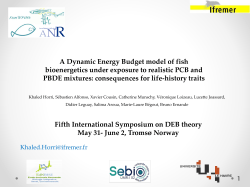 A Dynamic Energy Budget model of fish bioenergetics under