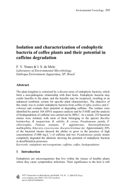 Isolation and characterization of endophytic bacteria of coffee plants
