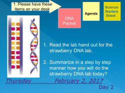 Daily Power Point and Warm up