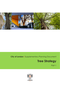 Tree Strategy - the City of London Corporation