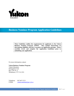Business Nominee Program Application Guidelines