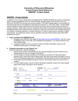 II. Complete information on the Projects Tab