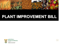 OVERVIEW OF PLANT IMPROVEMENT BILL