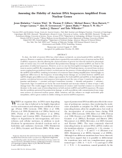 Assessing the Fidelity of Ancient DNA Sequences Amplified From
