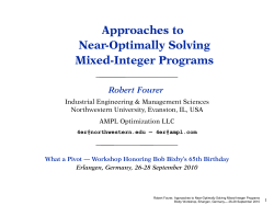A Problem Instance Analyzer for Optimization Services