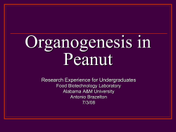 Source:Victor. et al, 2004