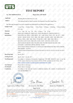 TEST REPORT
