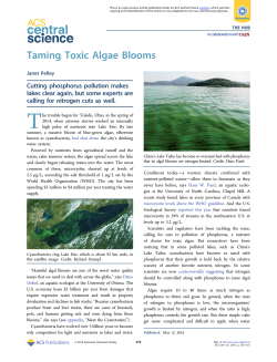 Taming Toxic Algae Blooms - American Chemical Society