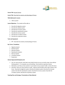 Lesson 02B Anatomy and Physiology of Horses LP