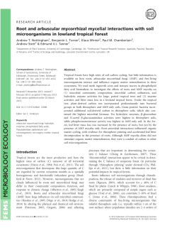 Root and arbuscular mycorrhizal mycelial interactions with soil