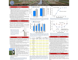 Alternate furrow irrigation reduces water applied without yield