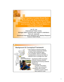 The Potential of Golden Bread Buns Biofortified with Beta