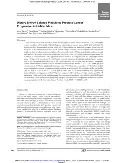 Dietary Energy Balance Modulates Prostate Cancer Progression in