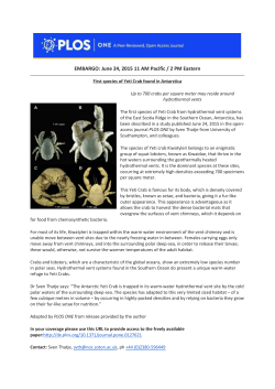 Media Release