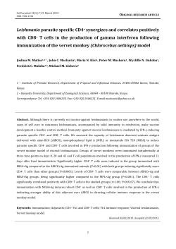 Leishmania parasite specific CD4+ synergizes and correlates