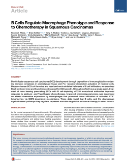 B Cells Regulate Macrophage Phenotype and Response to