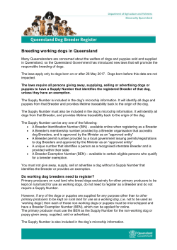 Breeding working dogs in Queensland
