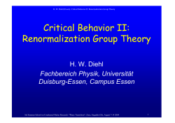 Critical Behavior II: Renormalization Group Theory