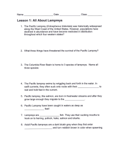 Pacific Lampery Student Worksheets