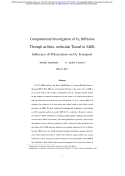 Computational Investigation of O2 Diffusion Through an