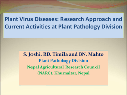 Plant virus disease