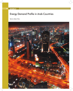 Energy Demand Profile in Arab Countries
