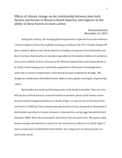 Johnson,H_final beetle paper