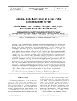 Efficient light harvesting in deep