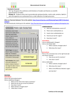 Macromolecule Virtual Lab