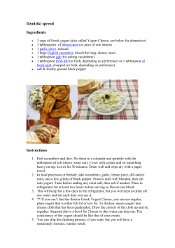 Dzadziki - The European Express