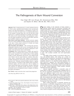 The Pathogenesis of Burn Wound Conversion