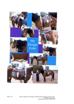 Task 1 - Illustrative C Response