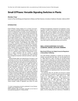 Small GTPases: Versatile Signaling Switches in Plants
