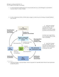 Nitrogen_cycling_activity_Bio_114