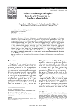 Solubilization of Inorganic Phosphate by Endophytic Pseudomonas
