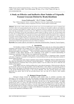 A Study on Effective and Ineffective Root Nodules of