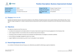 Position Description: Business Improvement Analyst